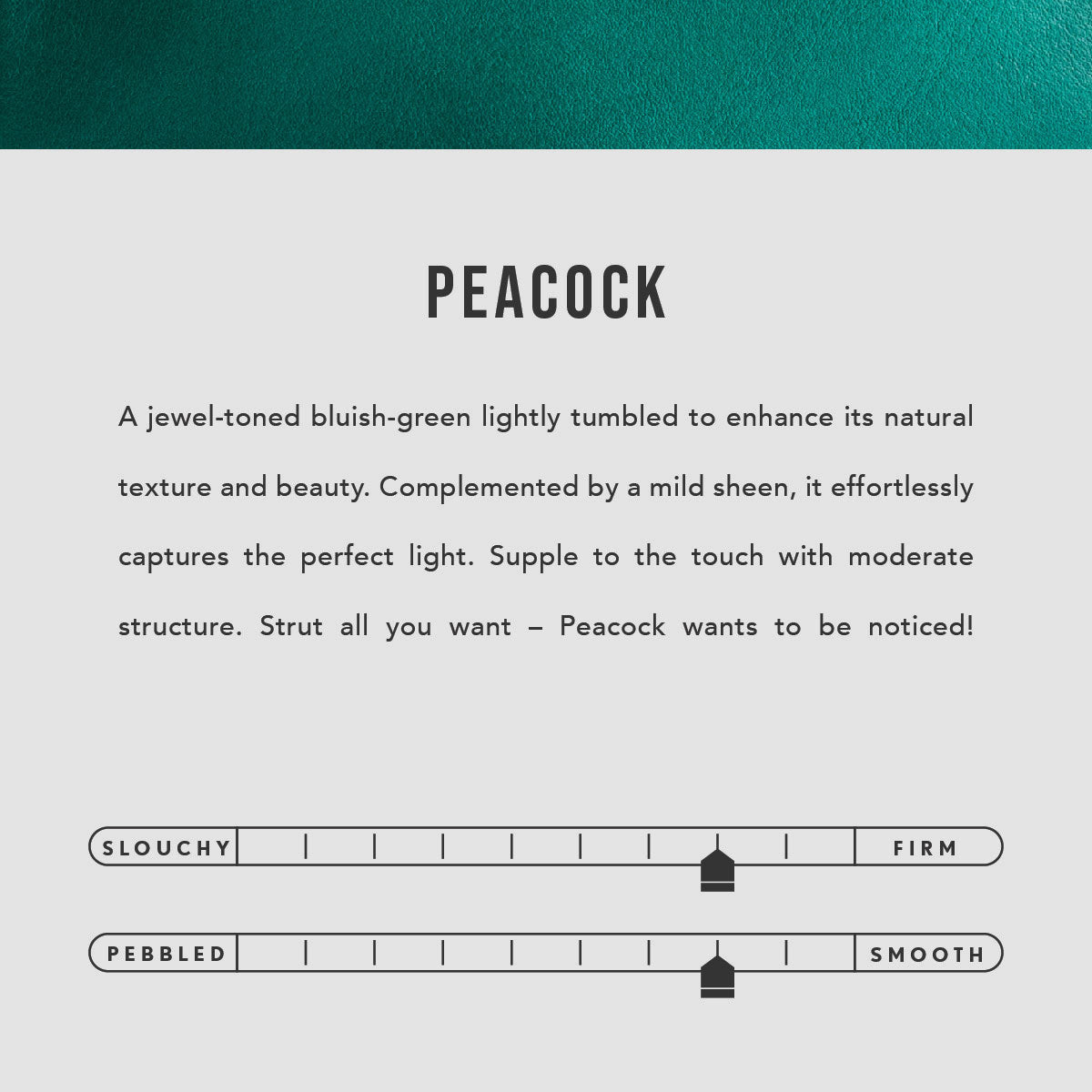 Peacock | infographic