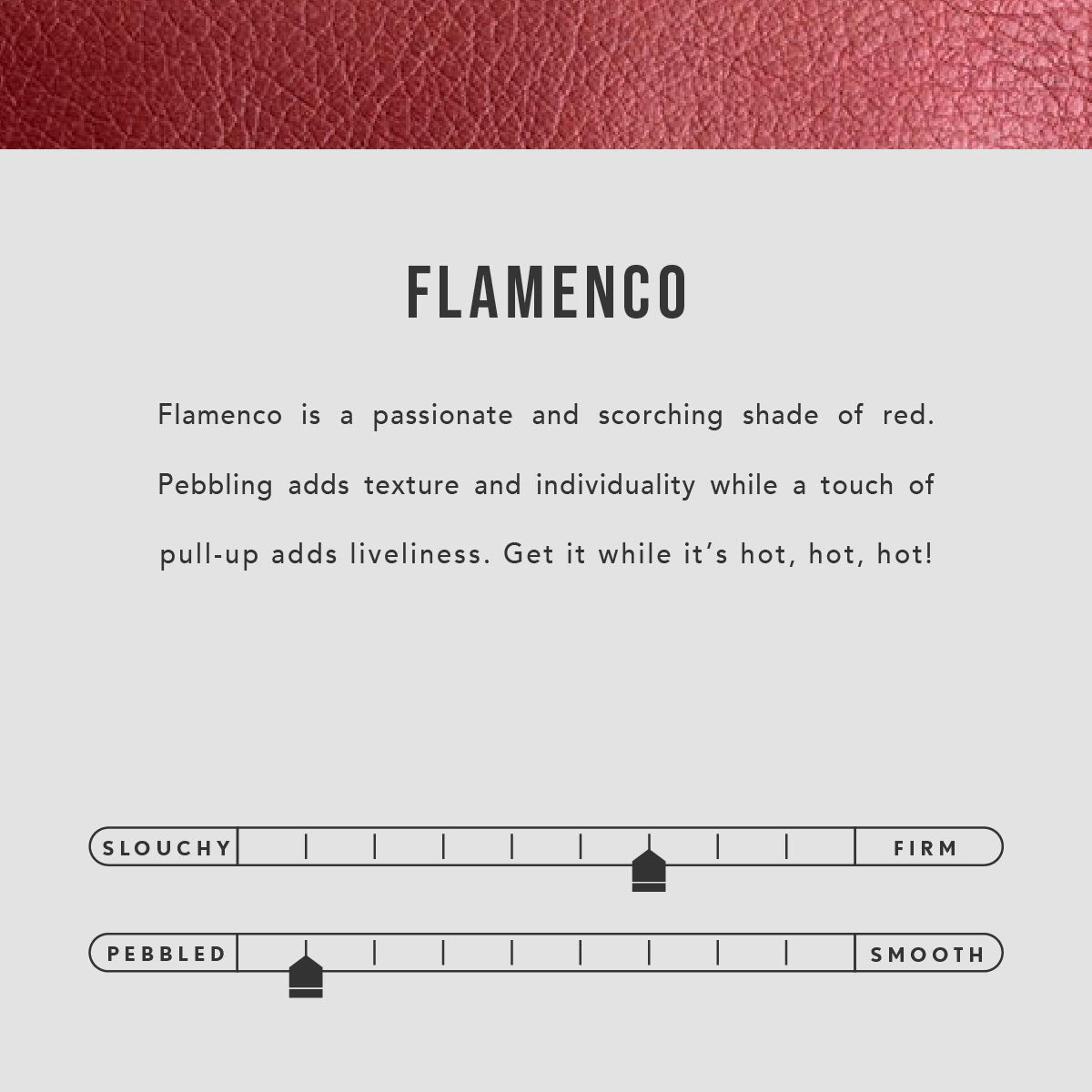 Flamenco | infographic