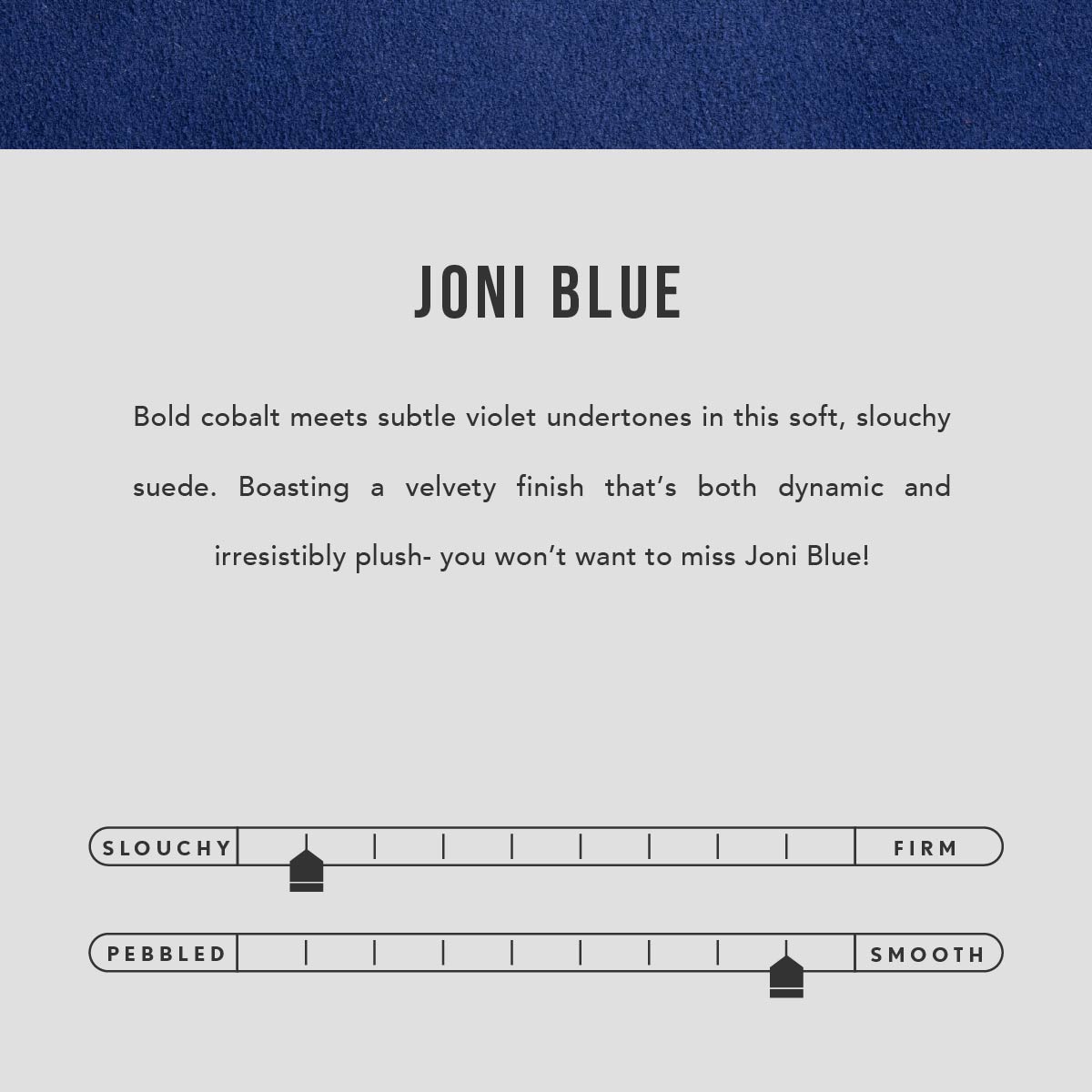 Joni Blue | infographic