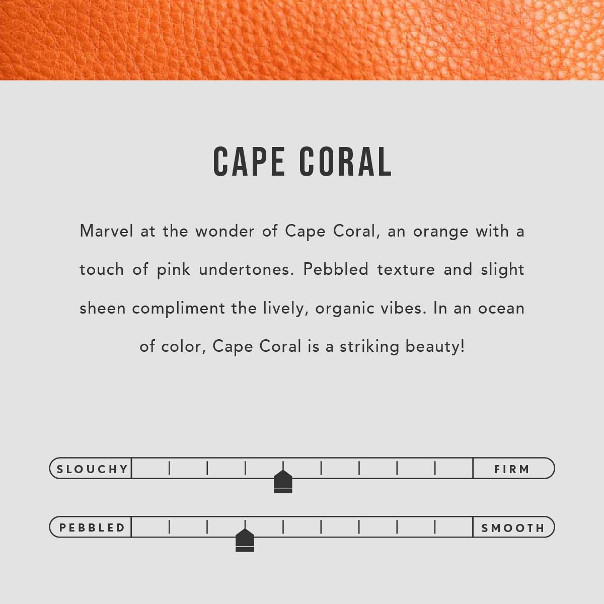 Cape Coral | infographic