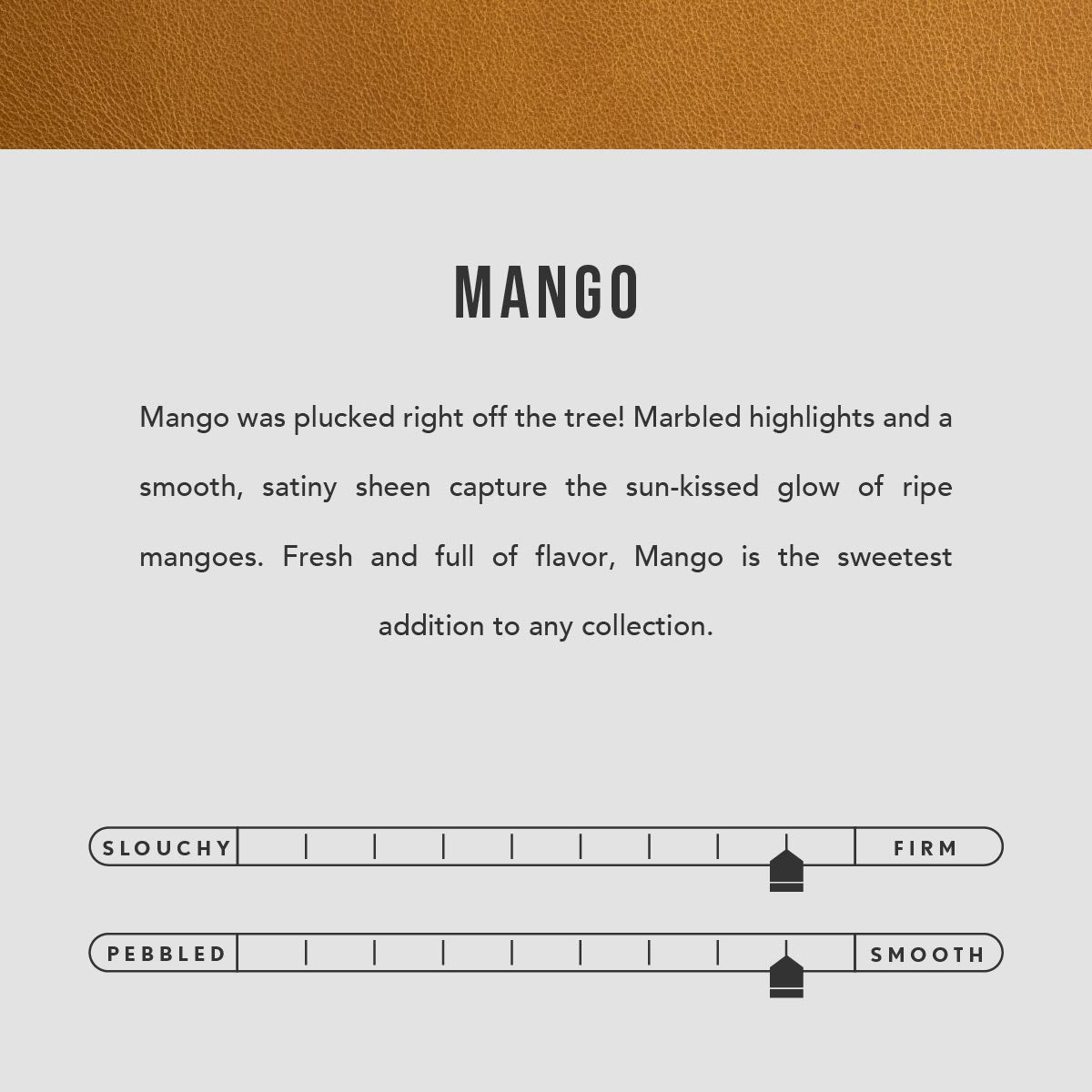 Mango | infographic