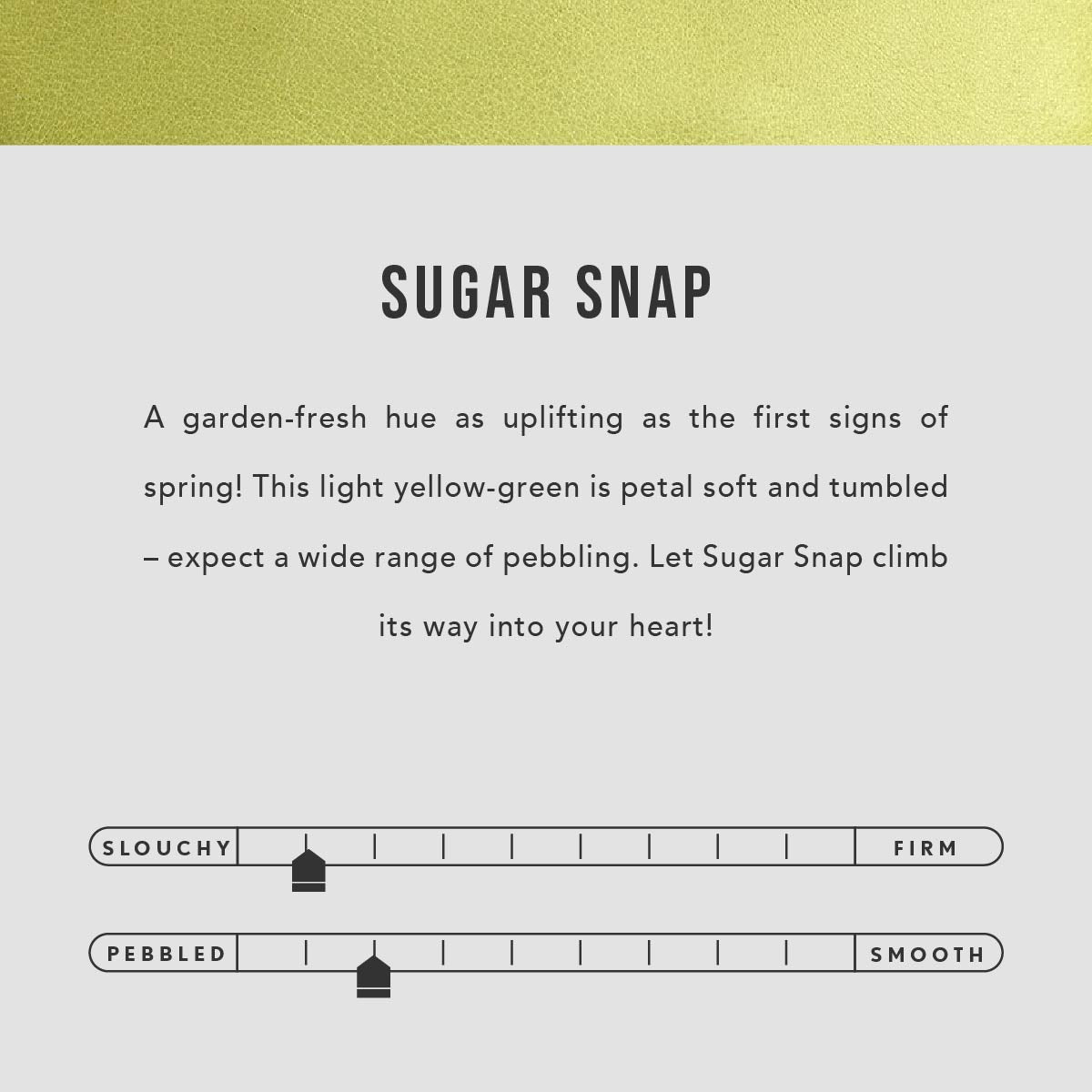 Sugar Snap | infographic