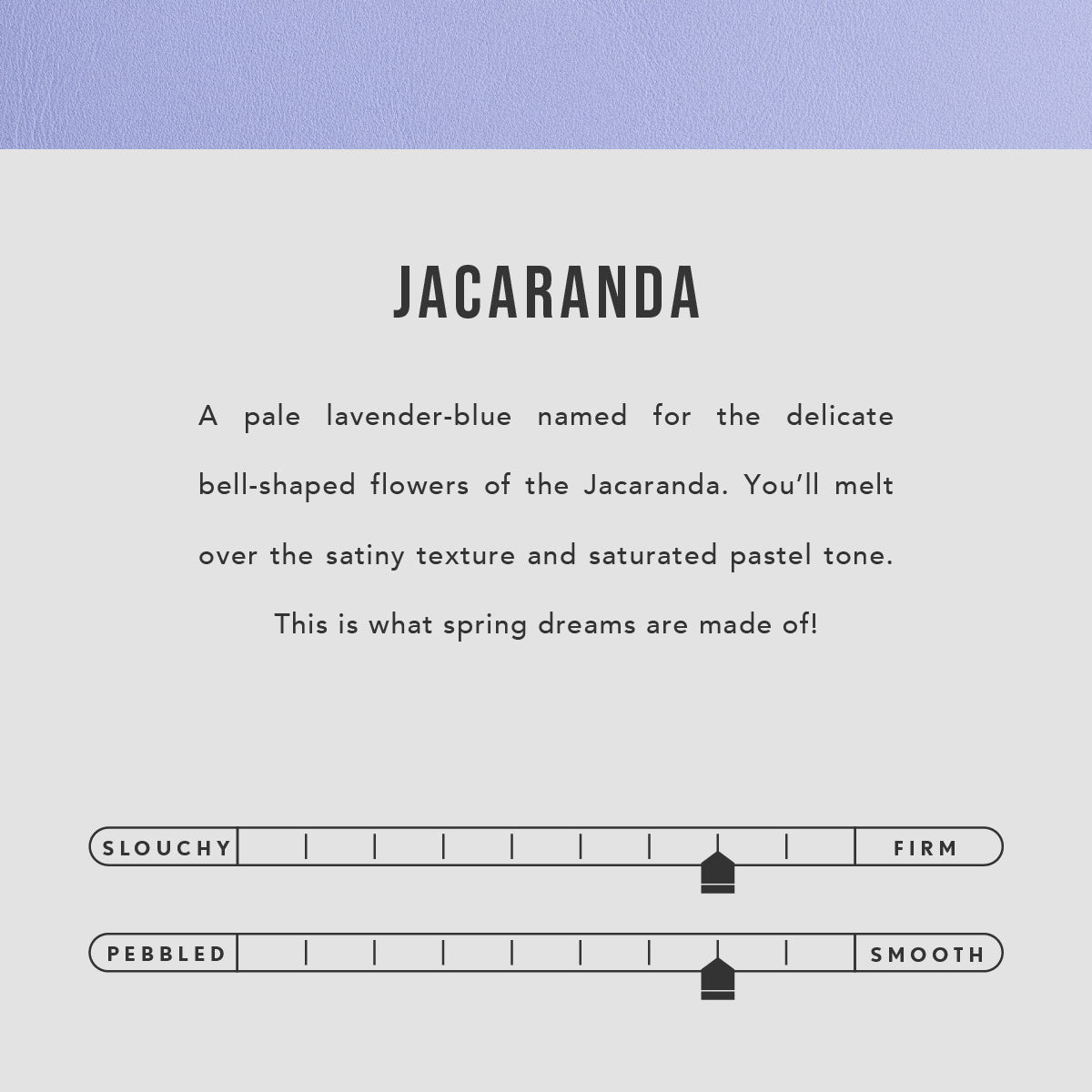 Jacaranda | infographic
