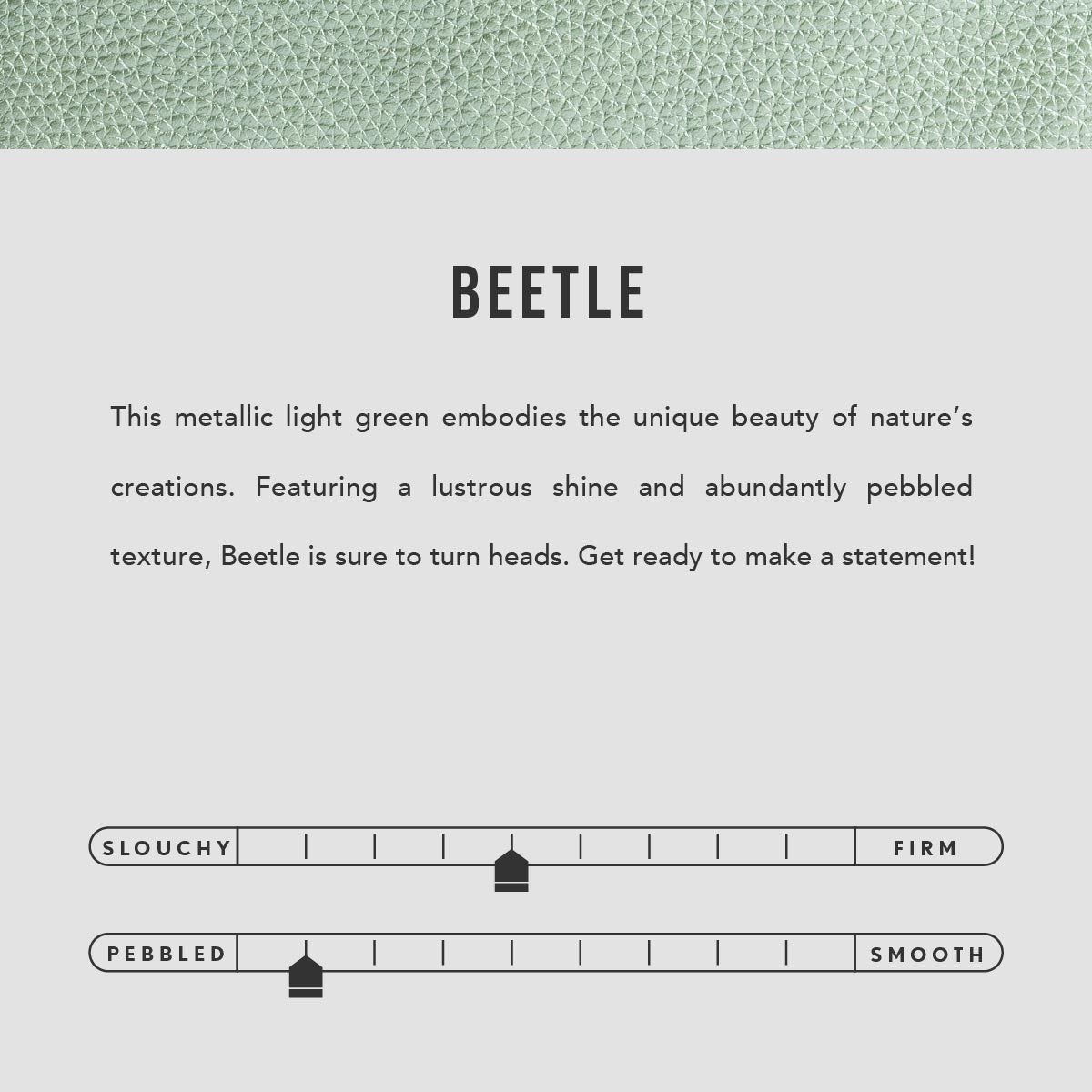 Beetle | infographic